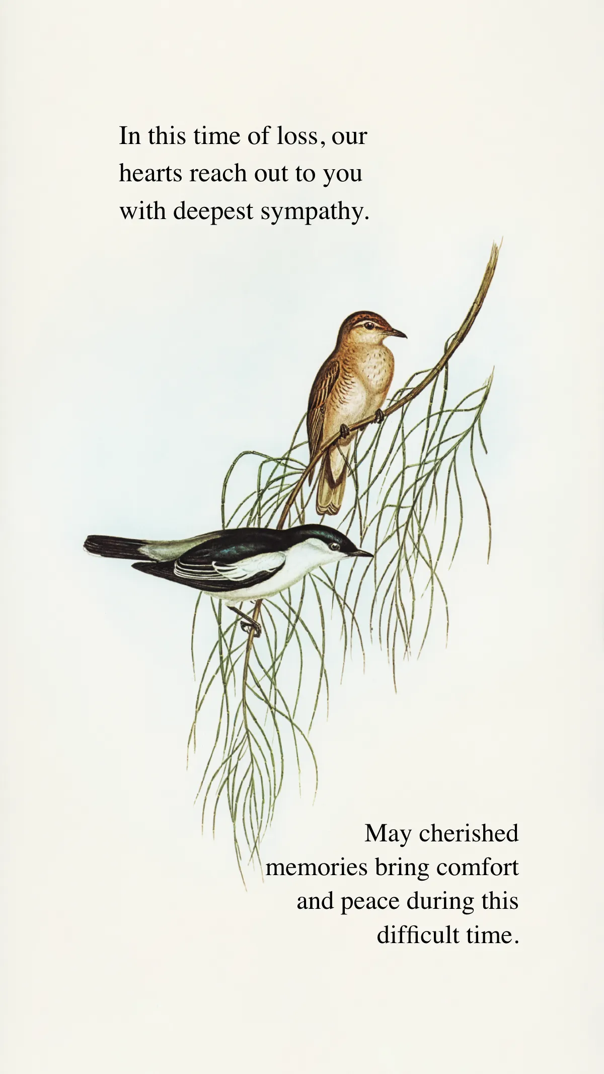 Free Condolence Sympathy Card Template to Edit Online