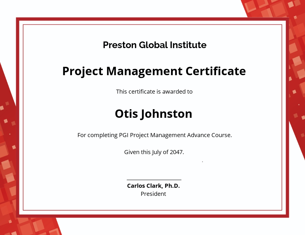Professional Project Management Certificate Template - Google Docs, Illustrator, Word, Apple Pages, PSD, Publisher