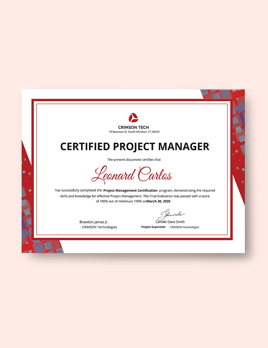 Professional Project Management Certificate Template in Word, Google Docs, Illustrator, PSD, Apple Pages, Publisher