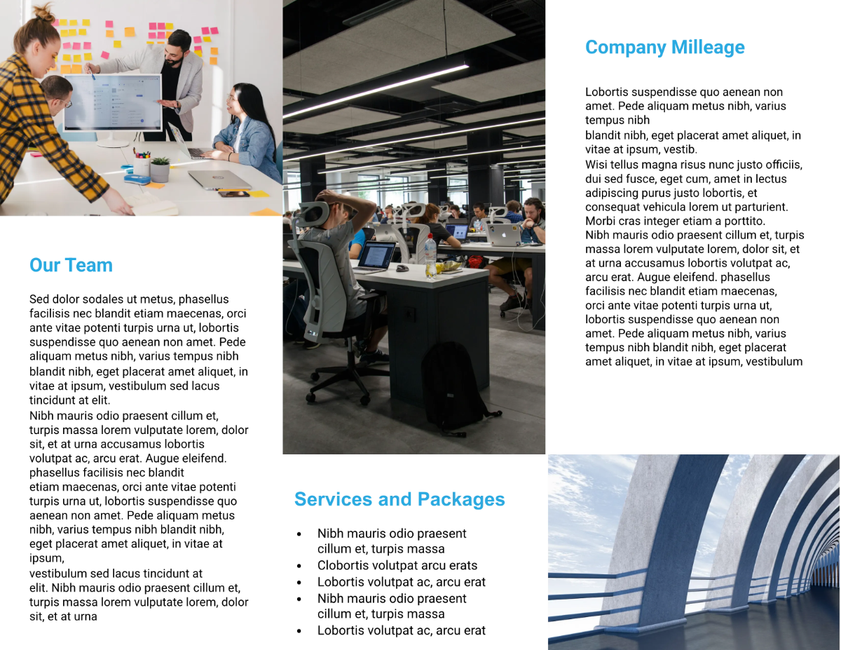 Free Modern Company Brochure Template to Edit Online
