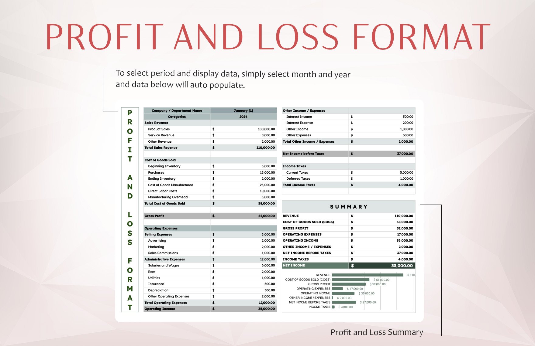 Proforma Profit and Loss Template