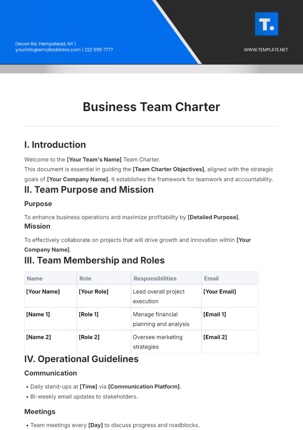 Business Team Charter Template