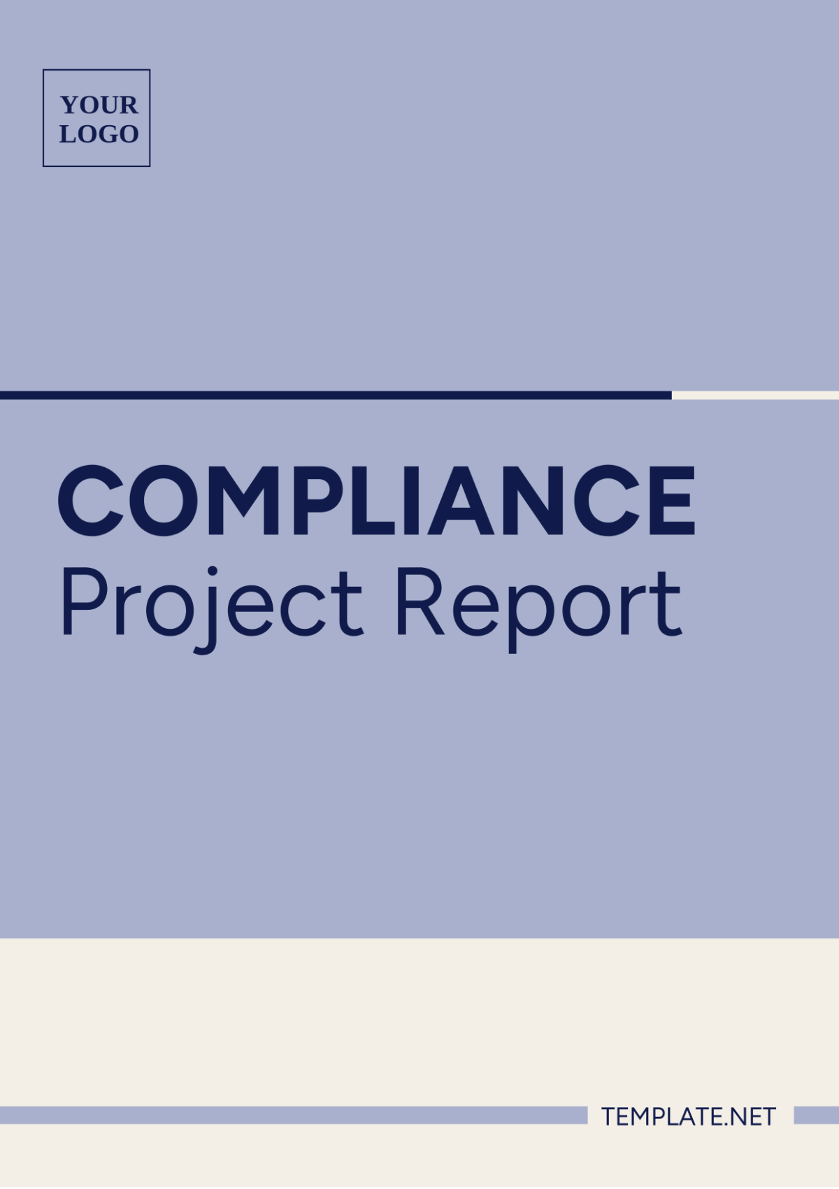 Compliance Project Report Template