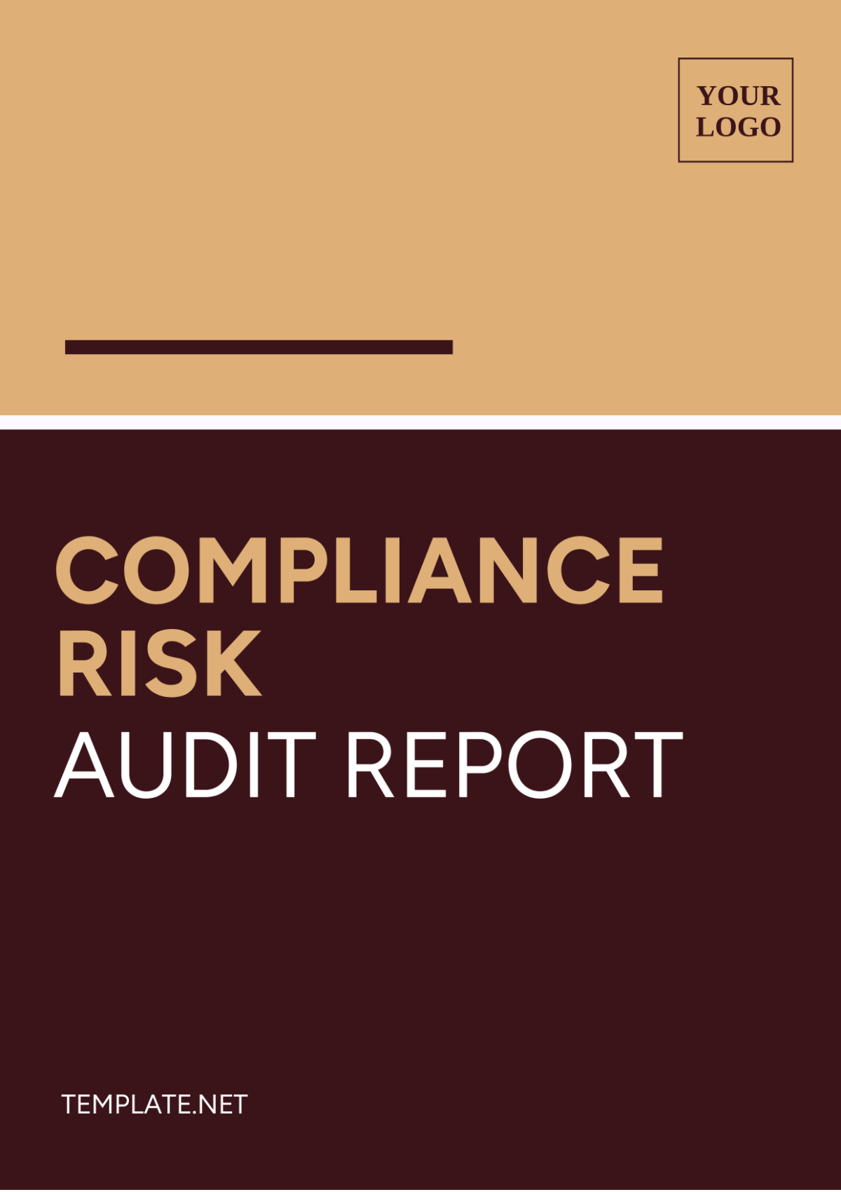 Compliance Risk Audit Report Template