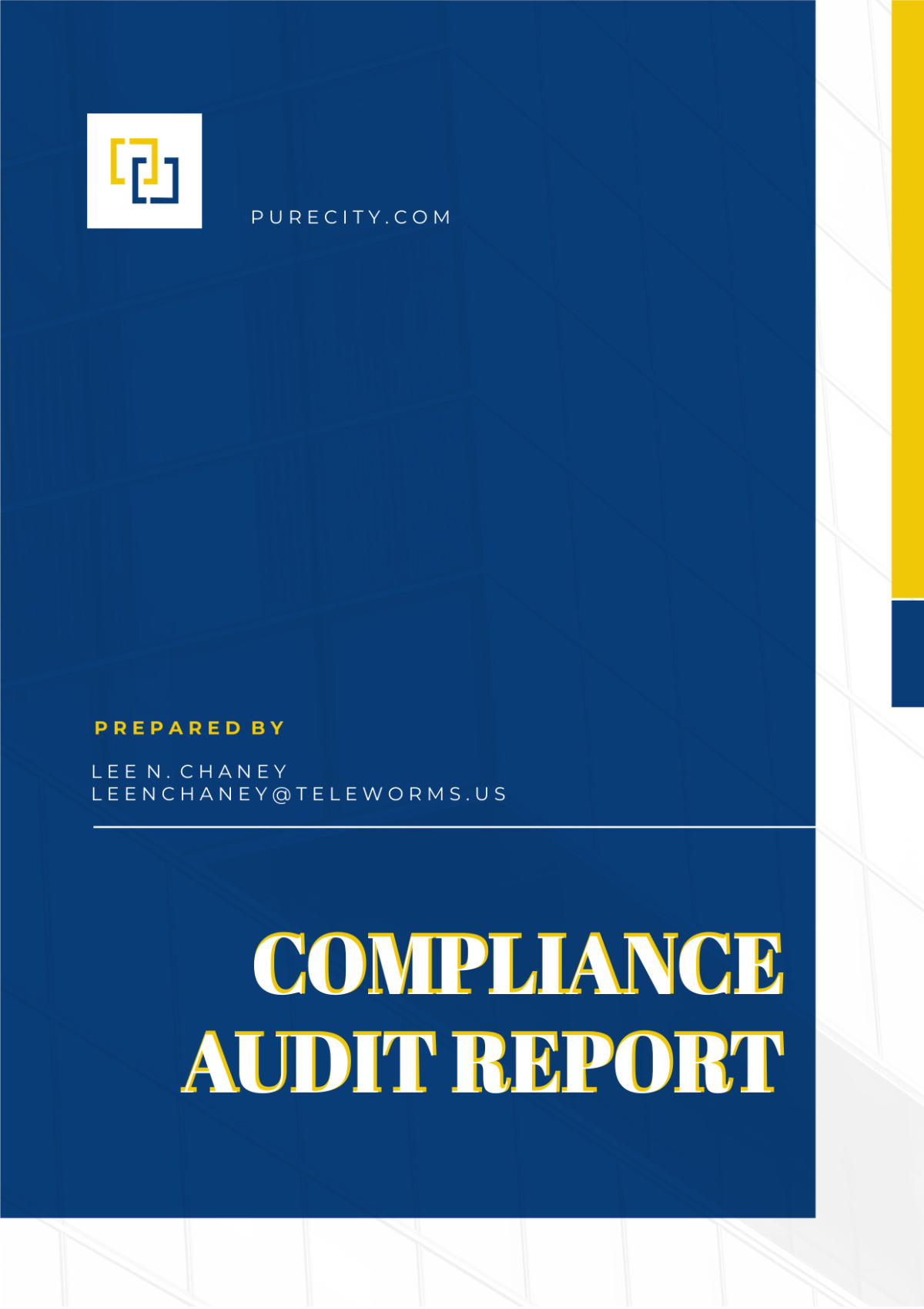 Compliance Audit Report Template
