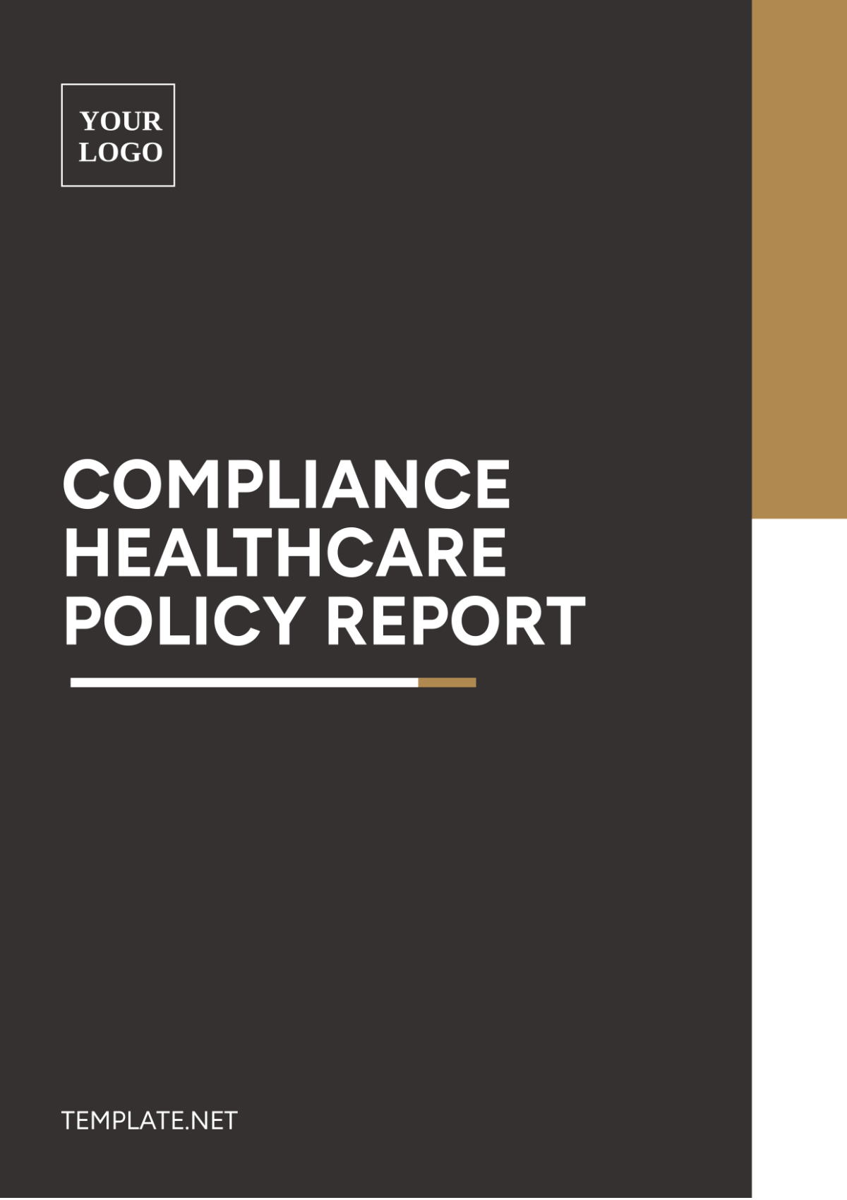Compliance Healthcare Policy Report Template