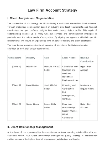 Free Law Firm Account Strategy Template to Edit Online