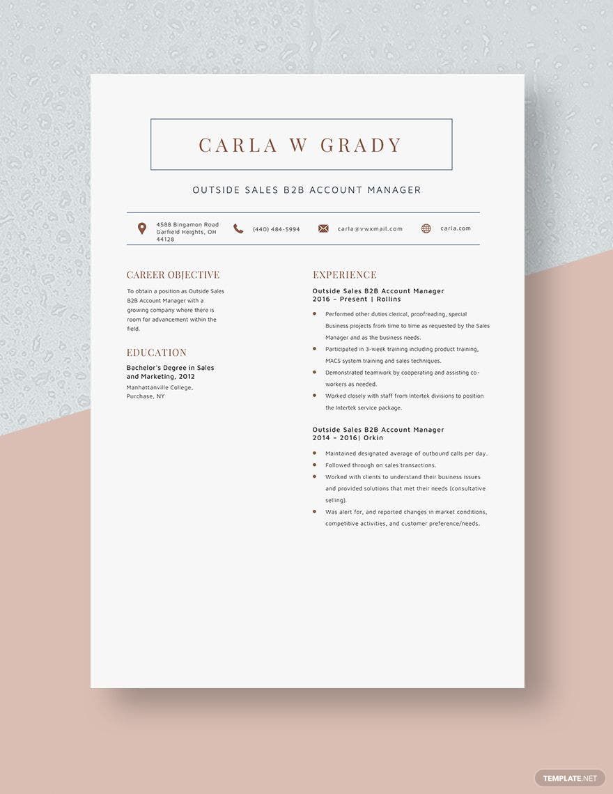 Outside Sales B2B Account Manager Resume
