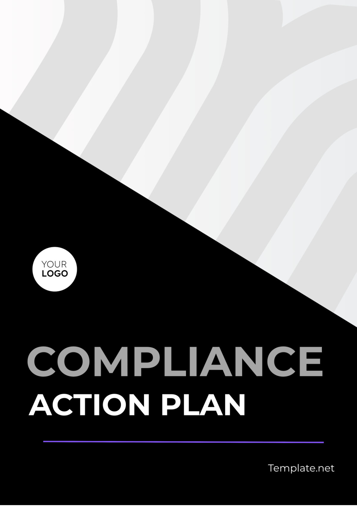Compliance Action Plan Template
