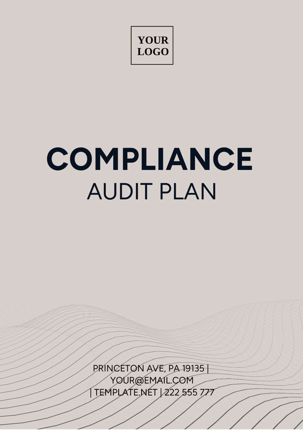 Compliance Audit Plan Template