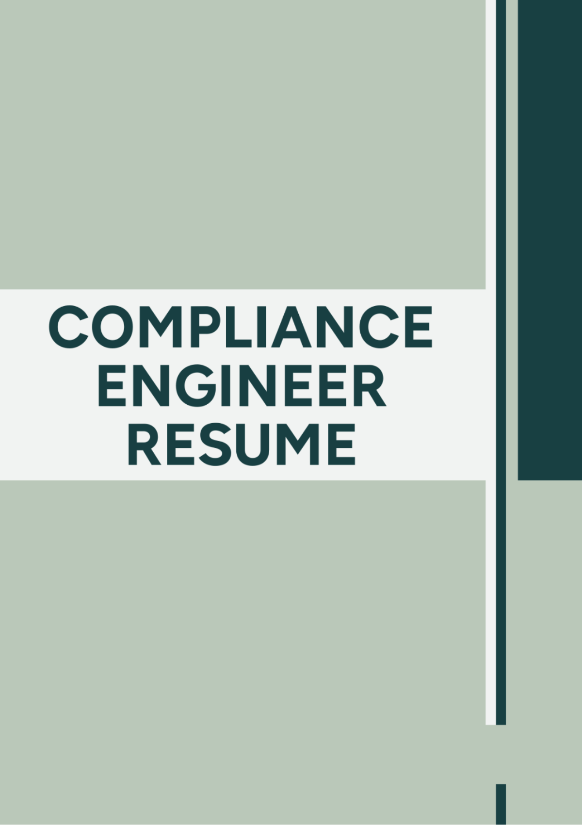 Compliance Engineer Resume Template