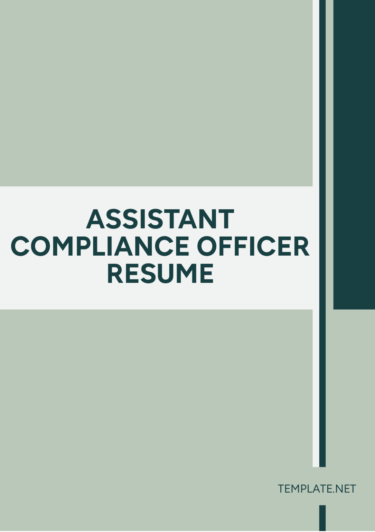 Assistant Compliance Officer Resume Template