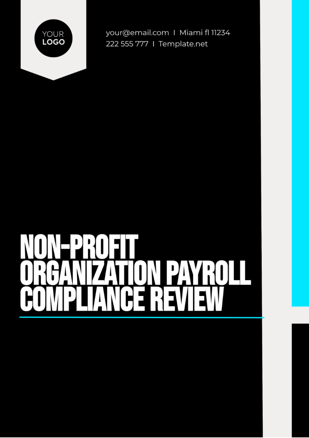 Non-Profit Organization Payroll Compliance Review Template