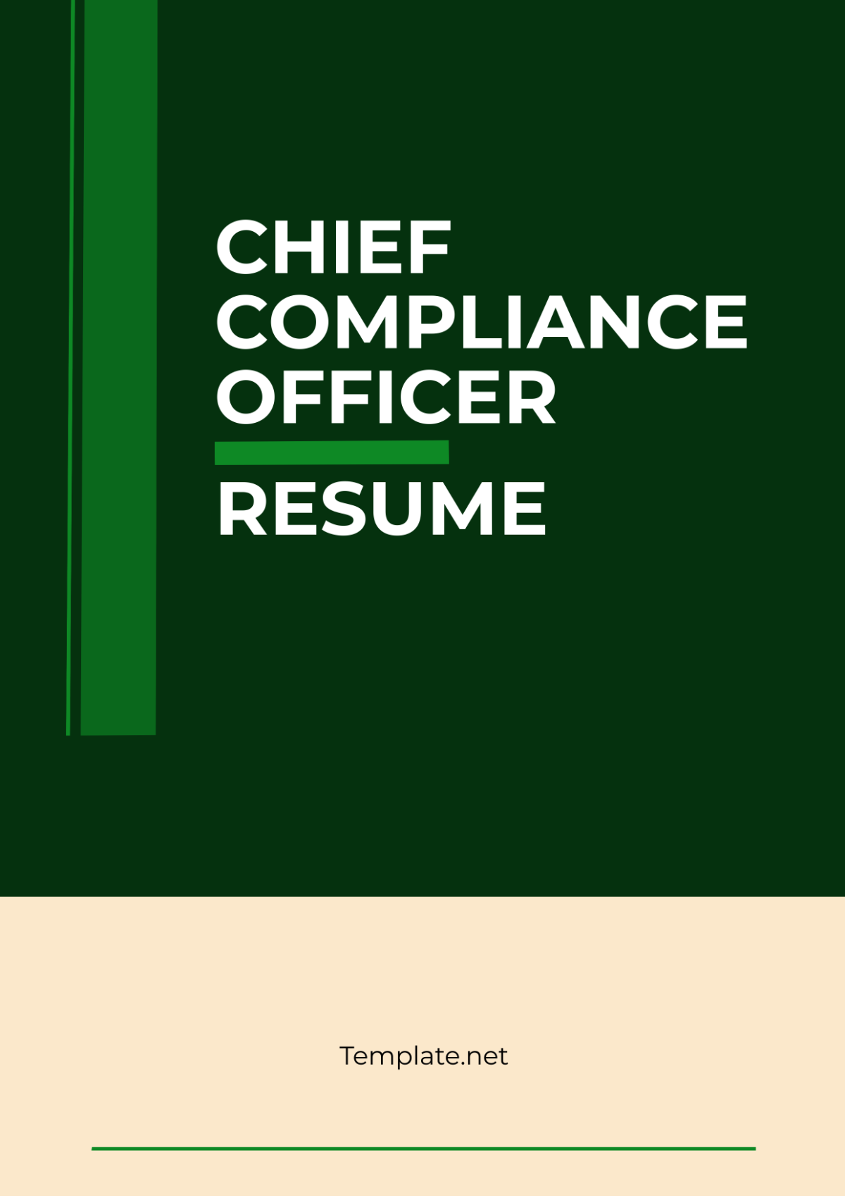 Chief Compliance Officer Resume Template