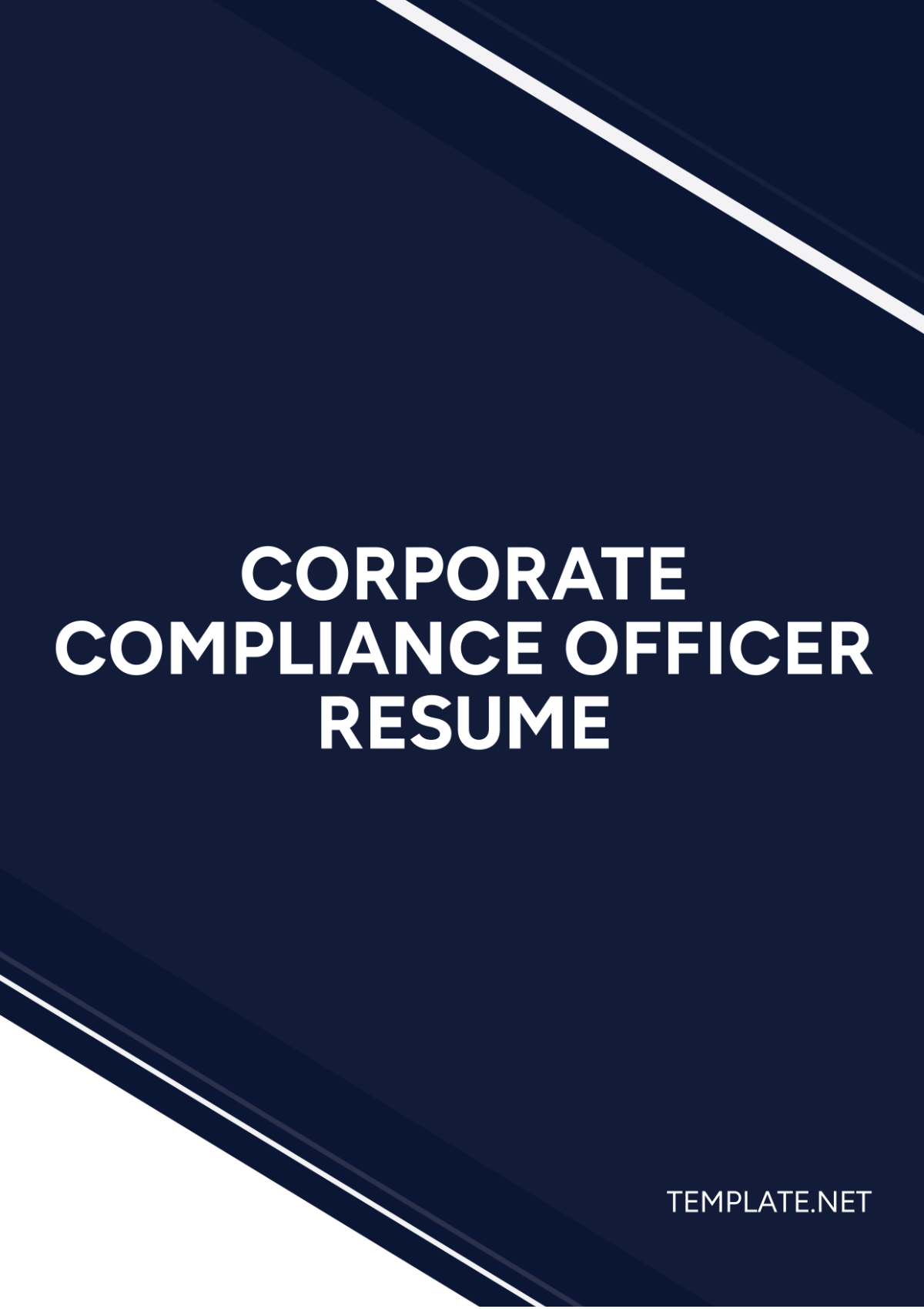 Corporate Compliance Officer Resume Template