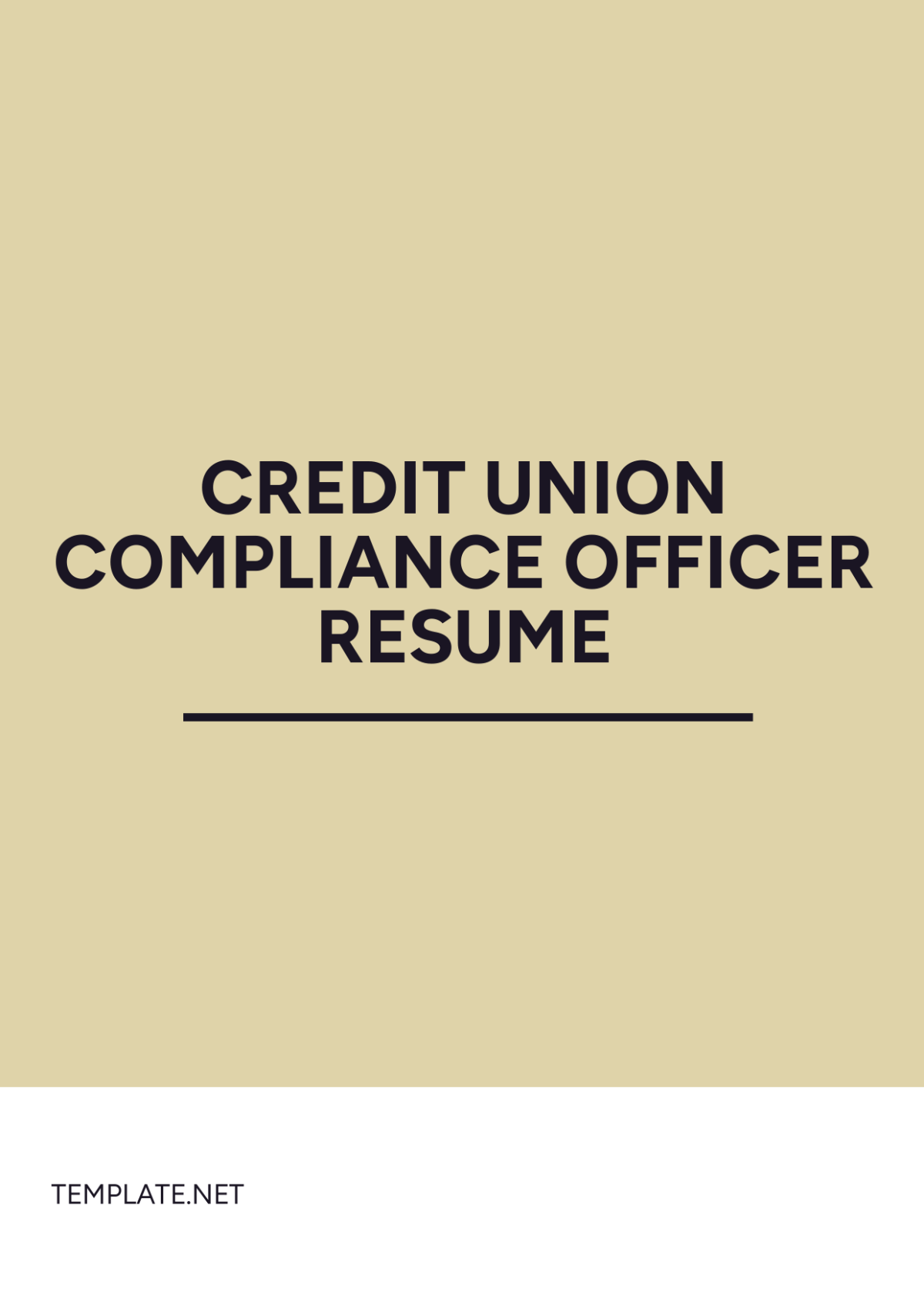 Free Credit Union Compliance Officer Resume Template