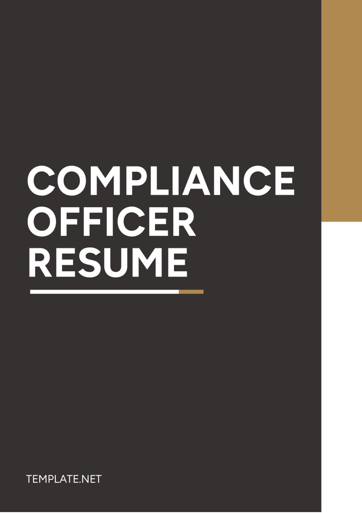 Free Compliance Officer Resume Template