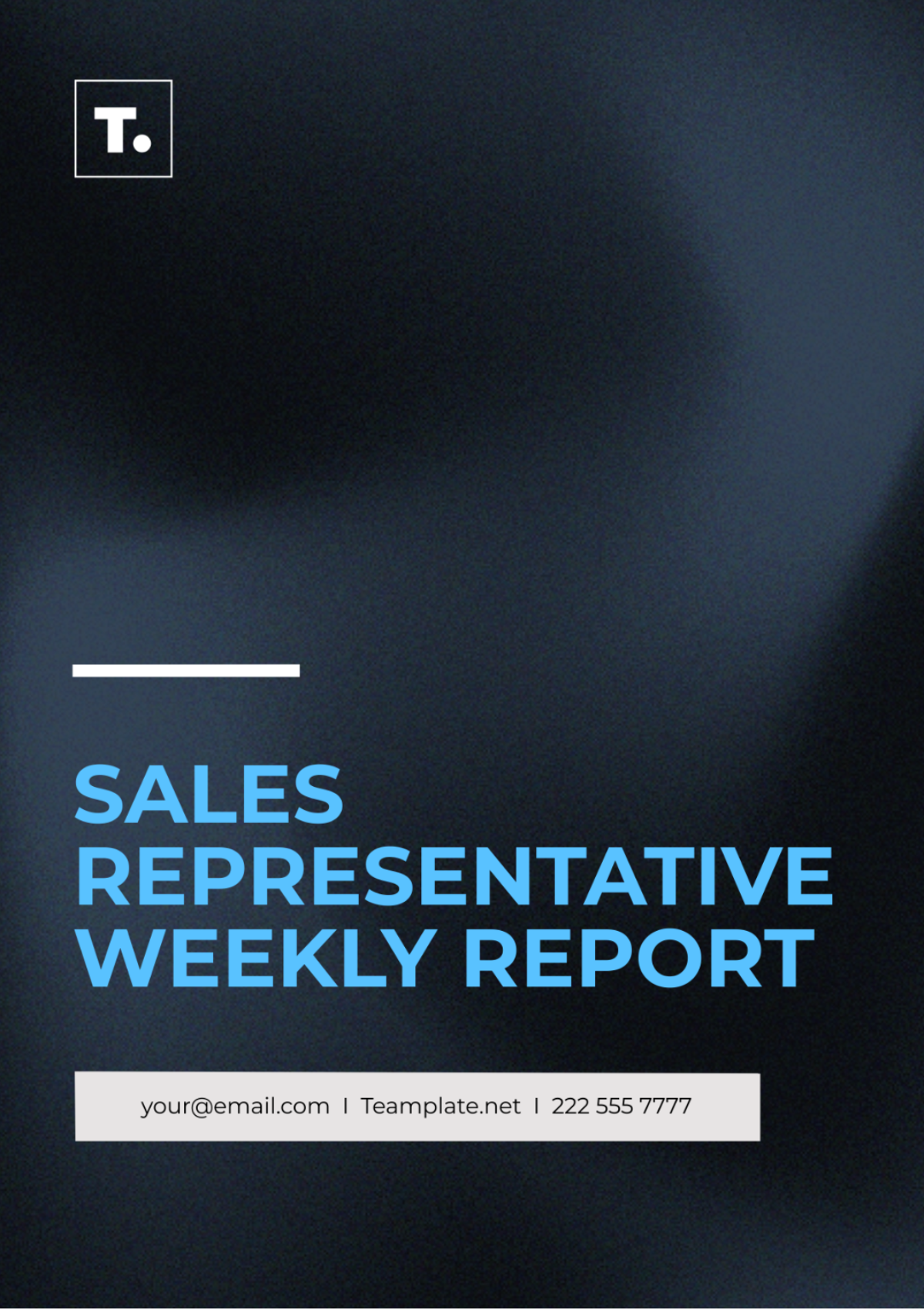 Sales Representative Weekly Report Template