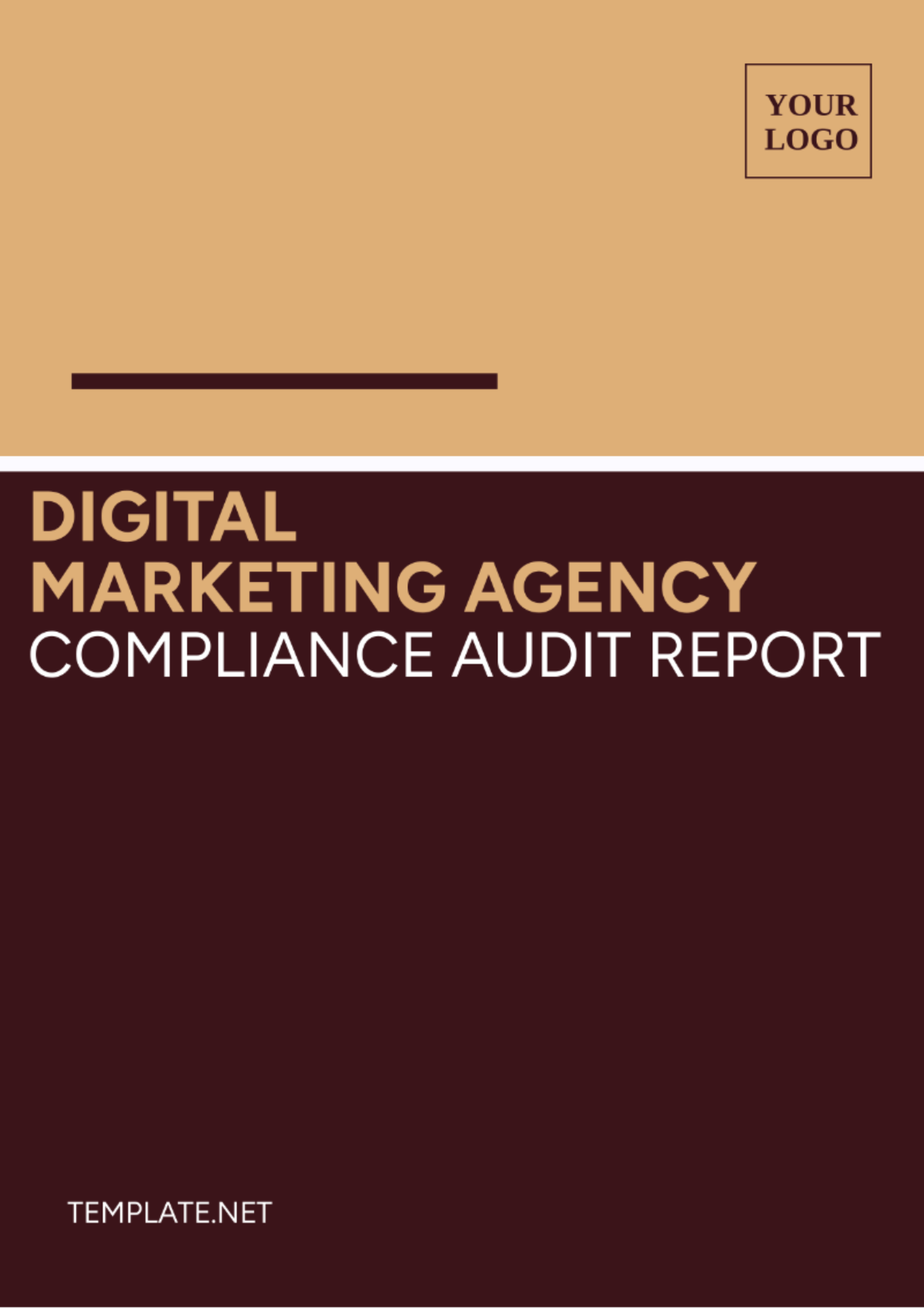 Digital Marketing Agency Compliance Audit Report Template