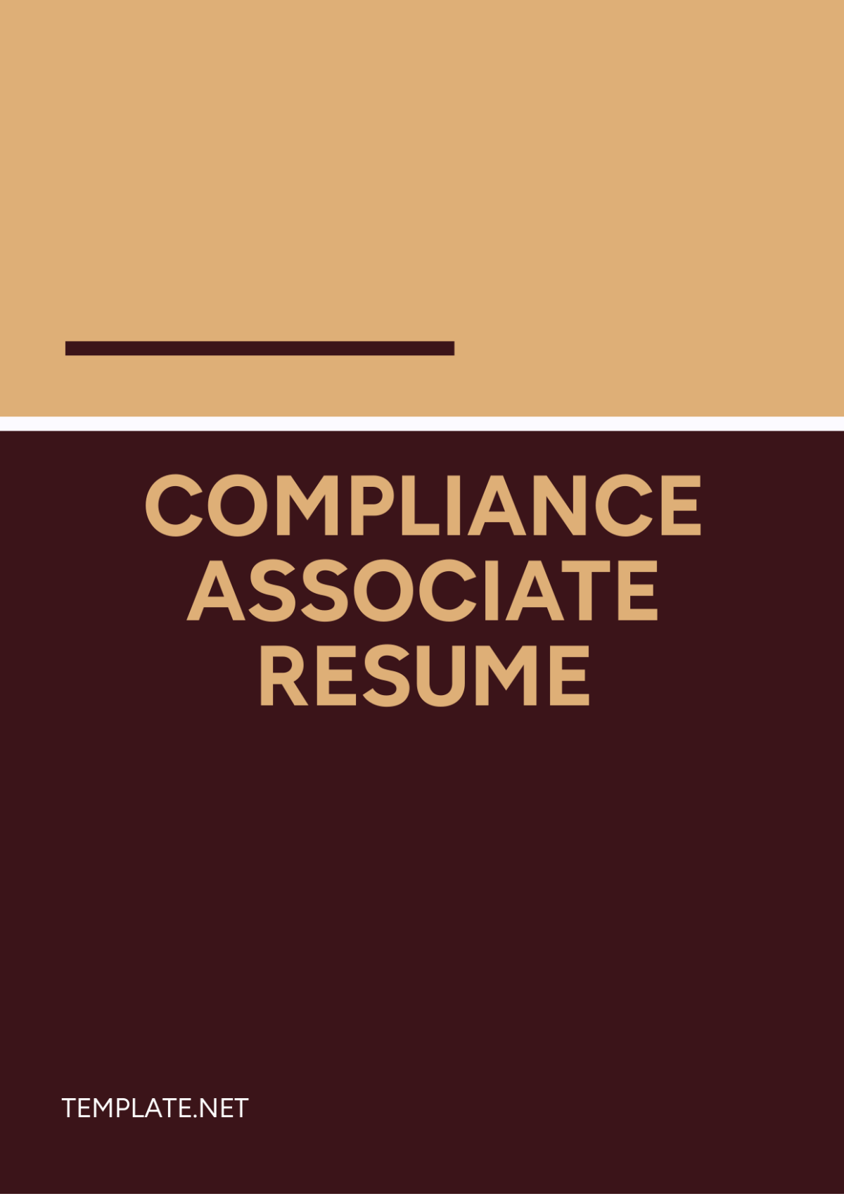 Compliance Associate Resume Template