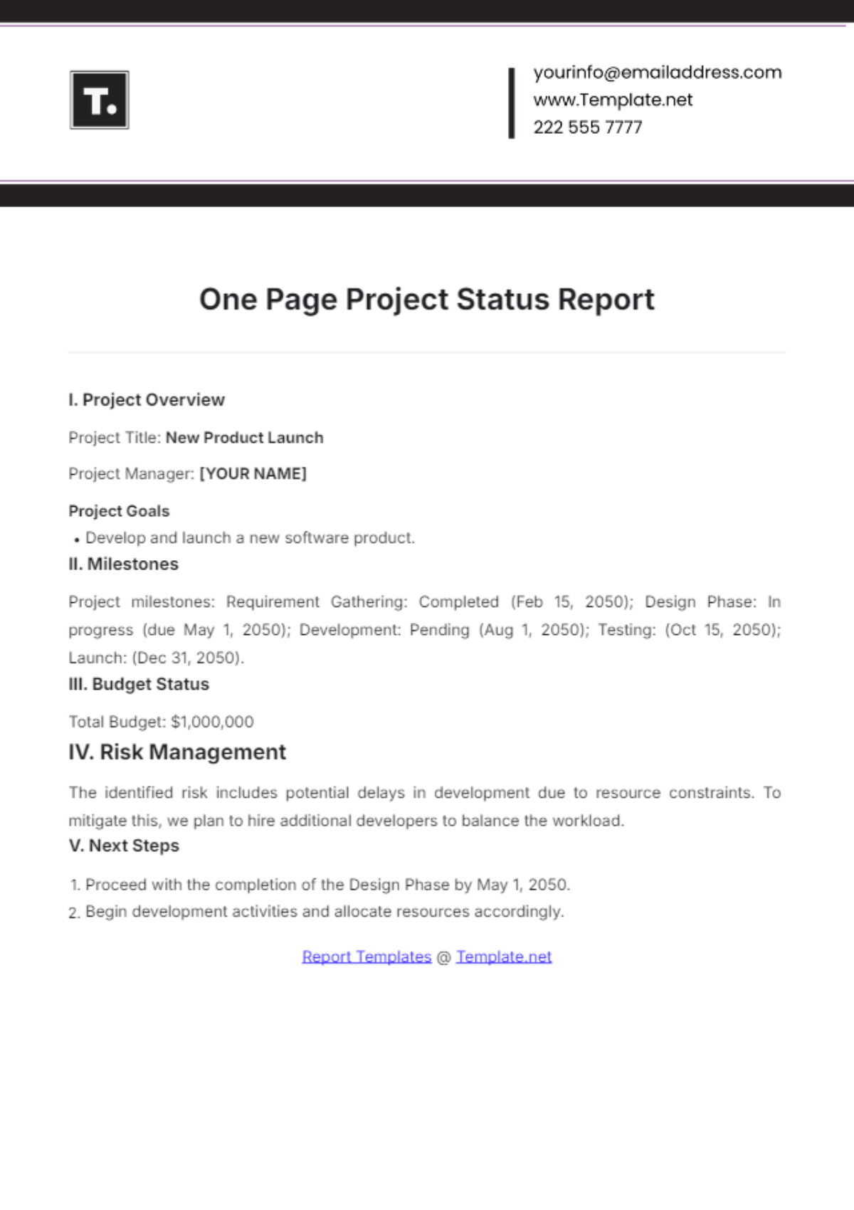 One Page Project Status Report Template