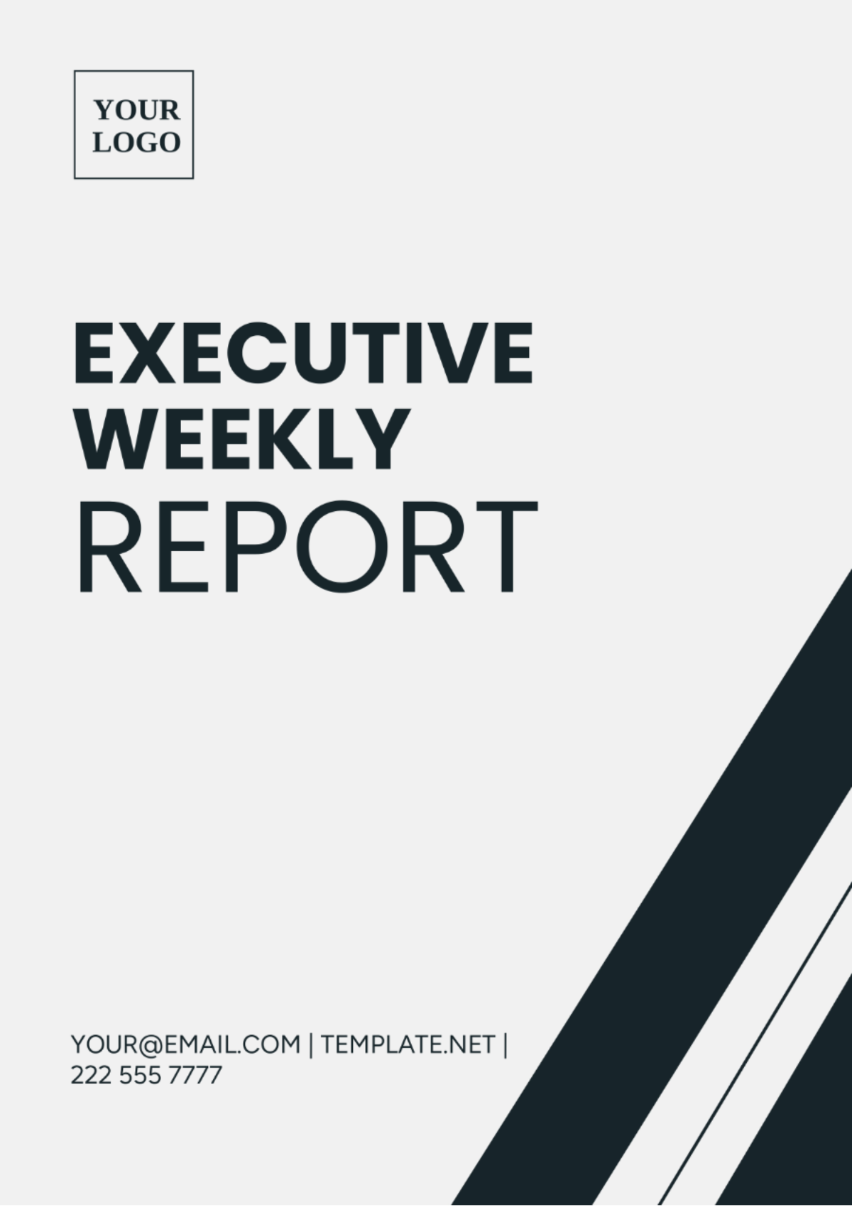 Executive Weekly Report Template