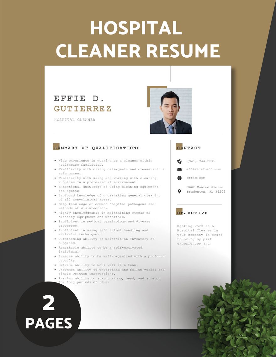 Hospital Cleaner Resume in Word, Apple Pages