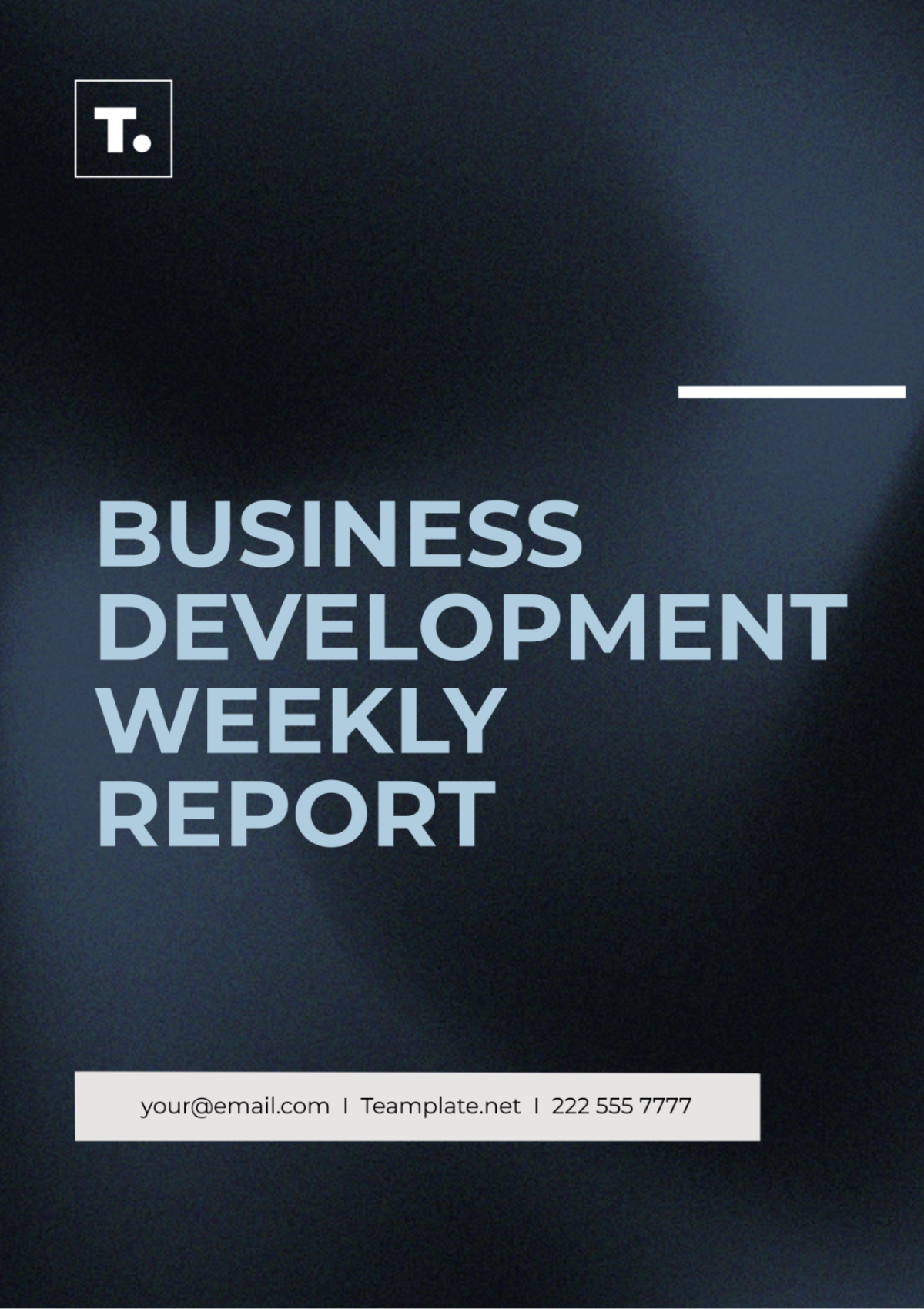 Business Development Weekly Report Template