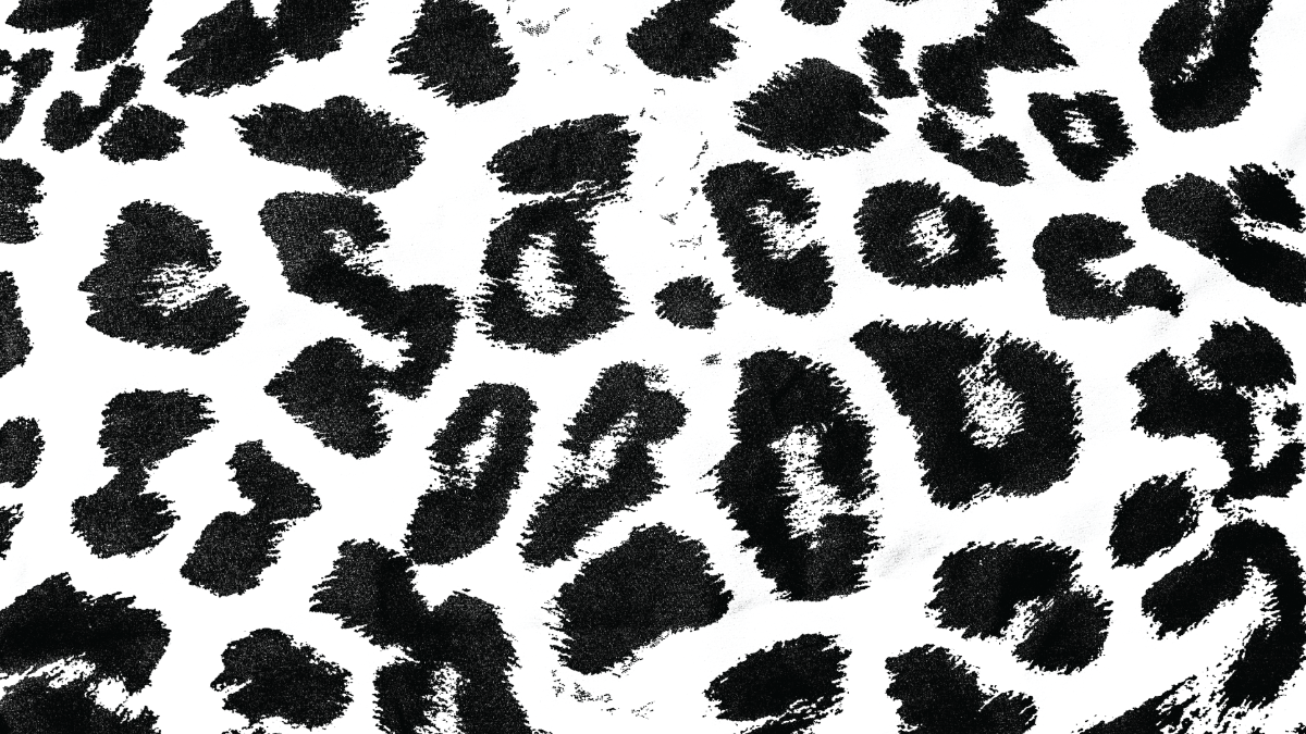 White Leopard Print Background