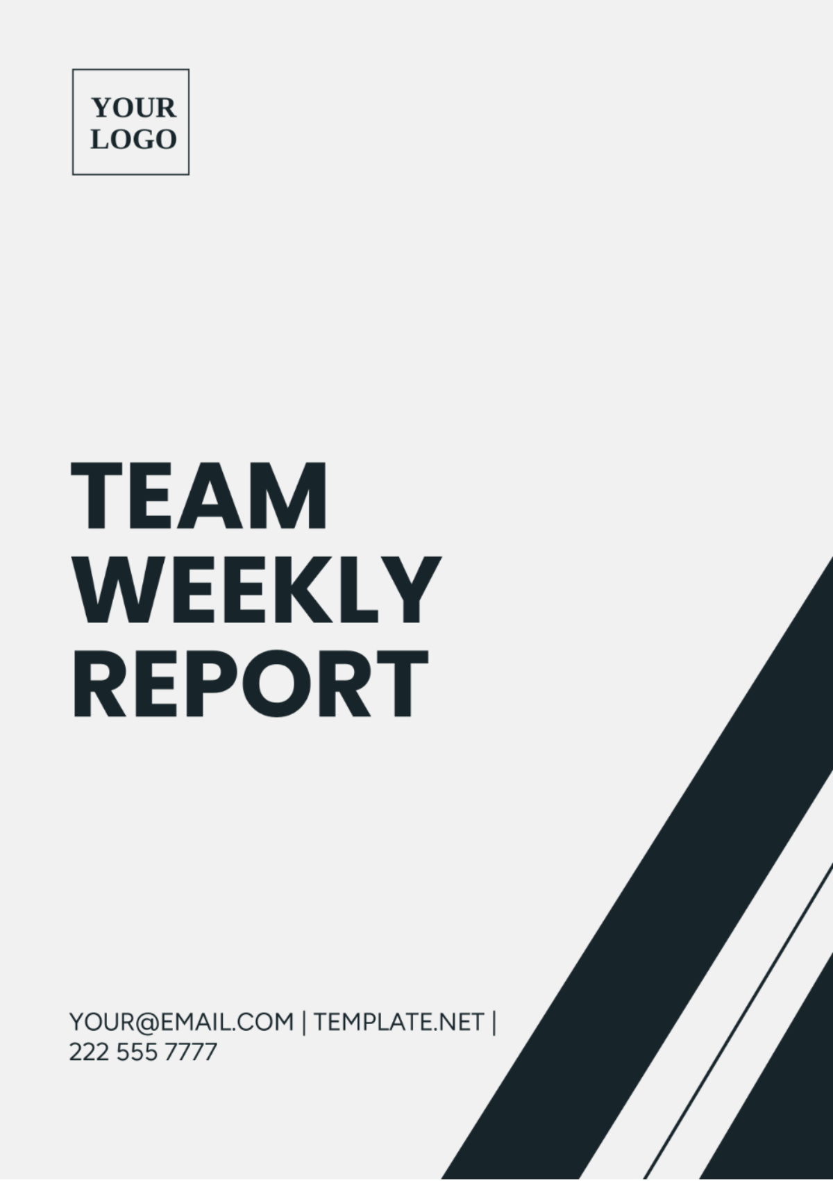Team Weekly Report Template
