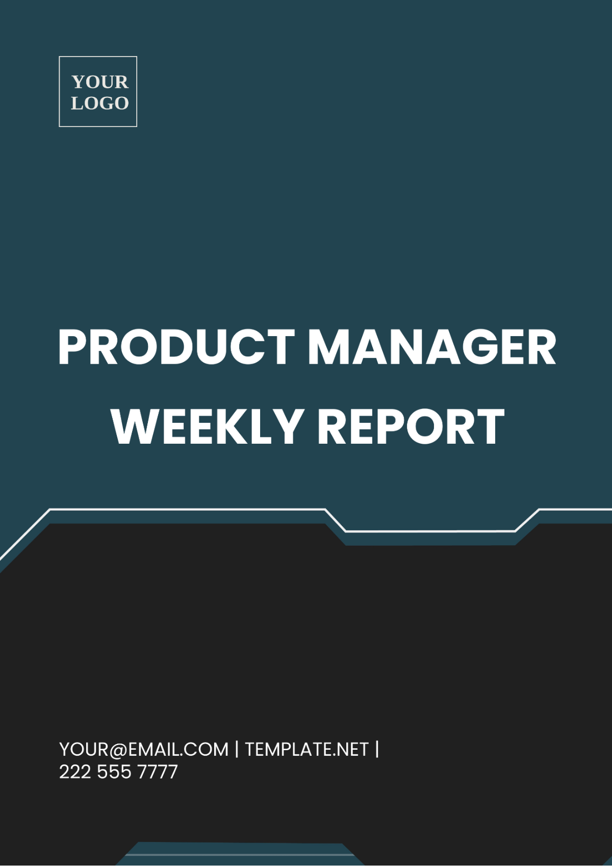 Product Manager Weekly Report Template