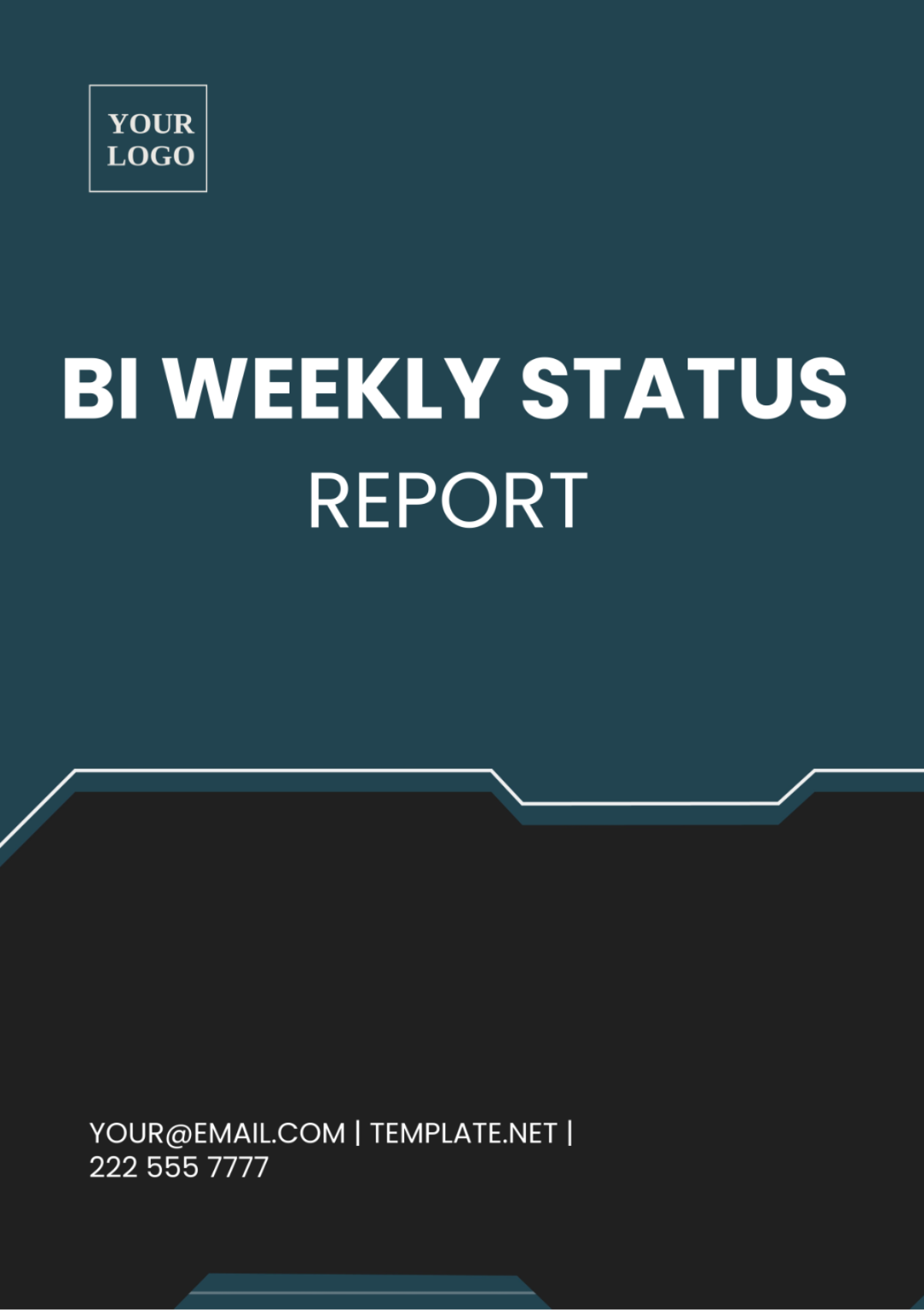 Bi Weekly Status Report Template