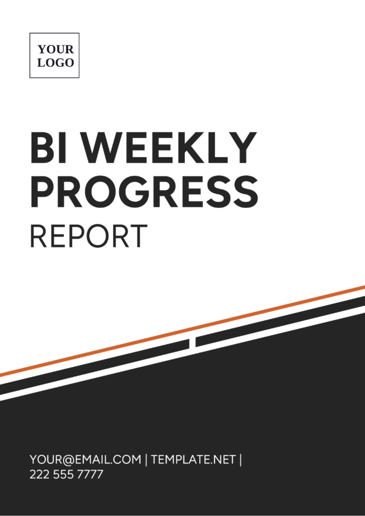 Bi Weekly Progress Report Template