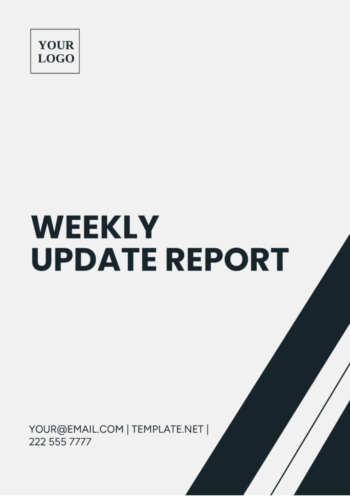 Weekly Update Report Template