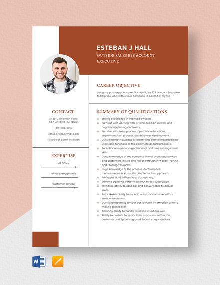 FREE Sales Executive Resume Template - Word (DOC) | PSD | InDesign ...