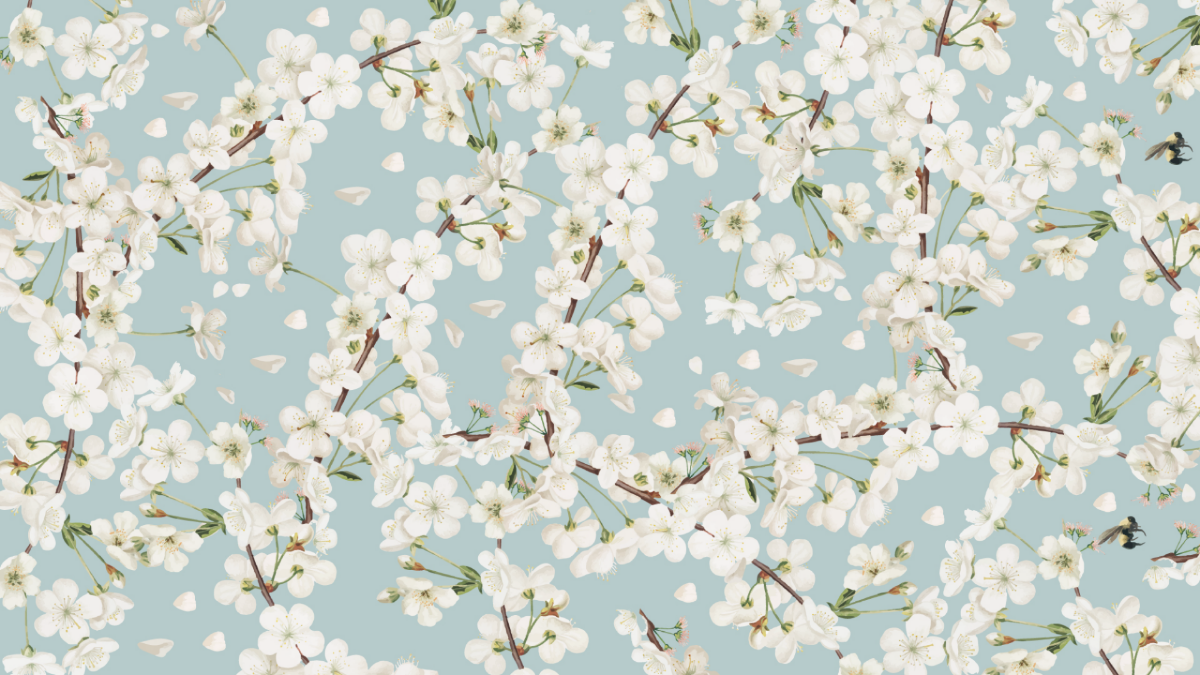 White Flower Background
