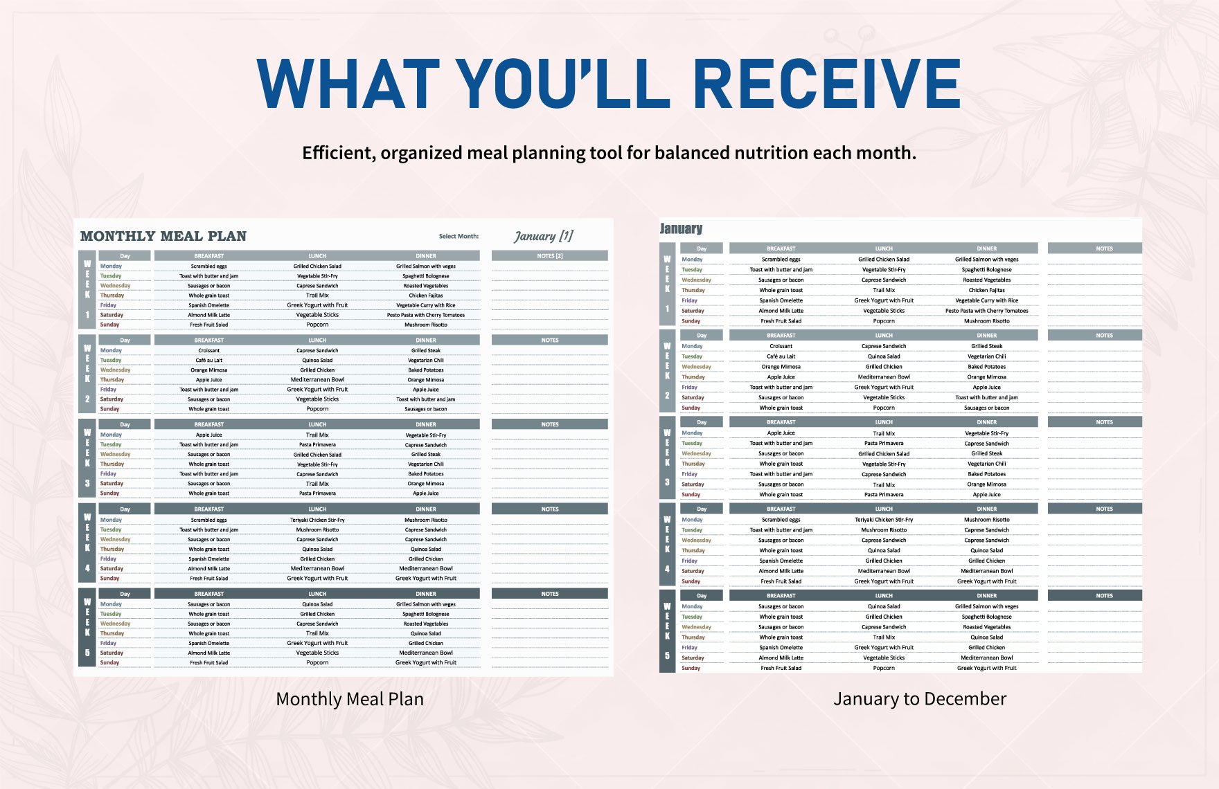 Monthly Meal Plan Template