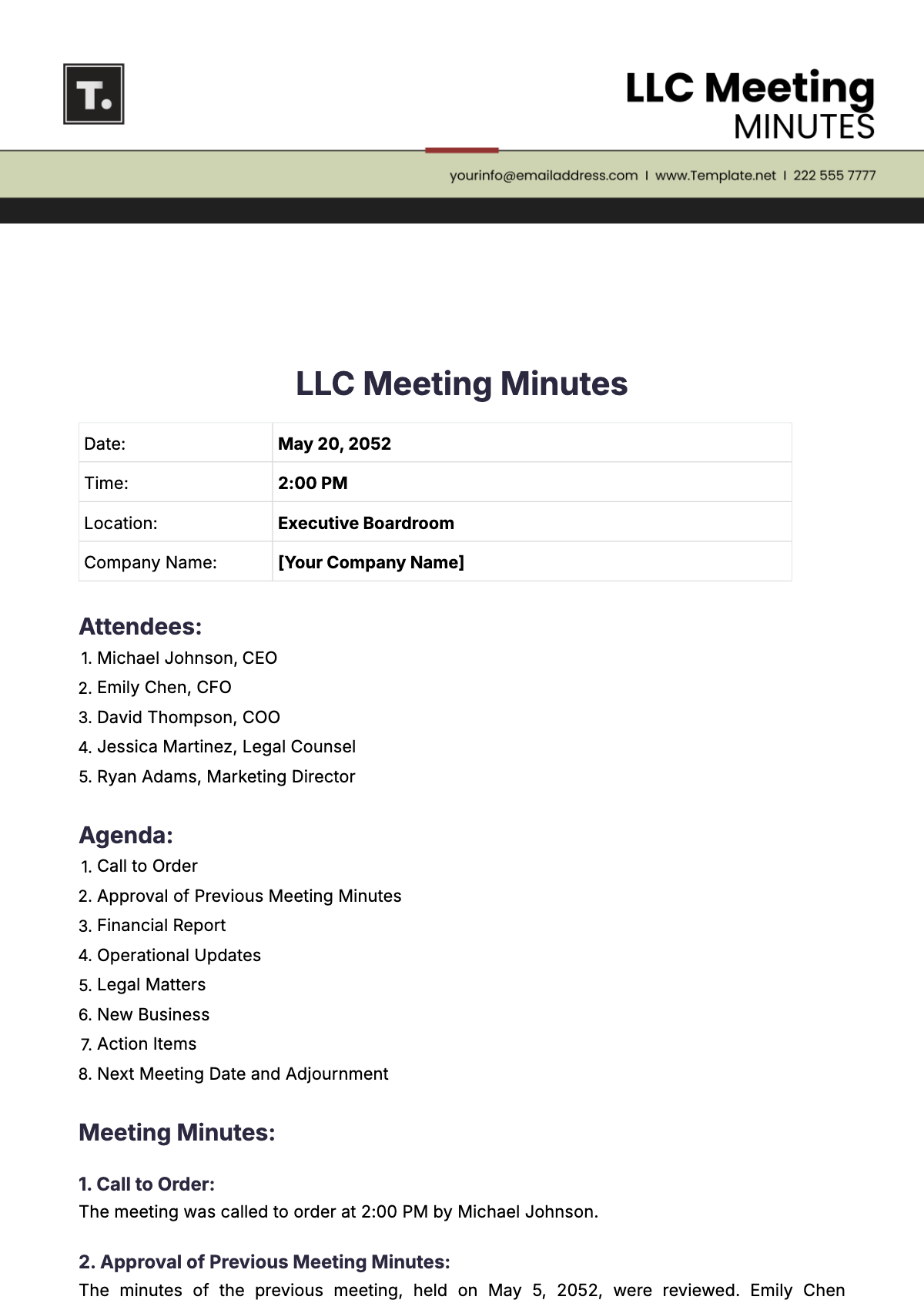 LLC Meeting Minutes Layout Template