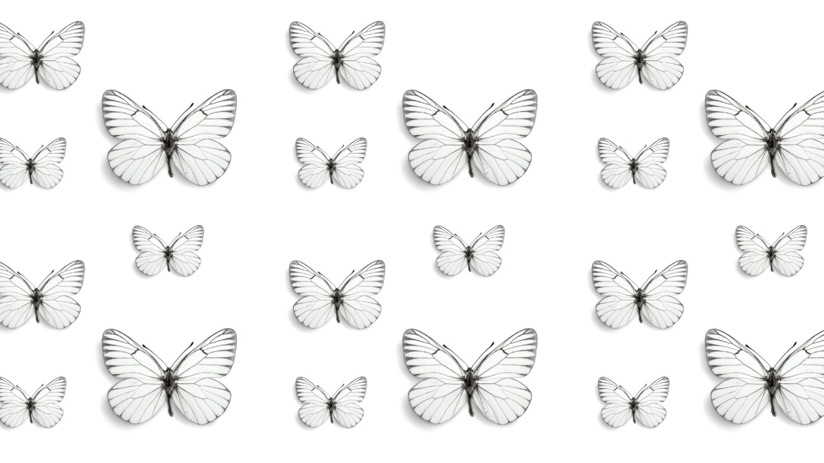 White Butterfly Transparent Background