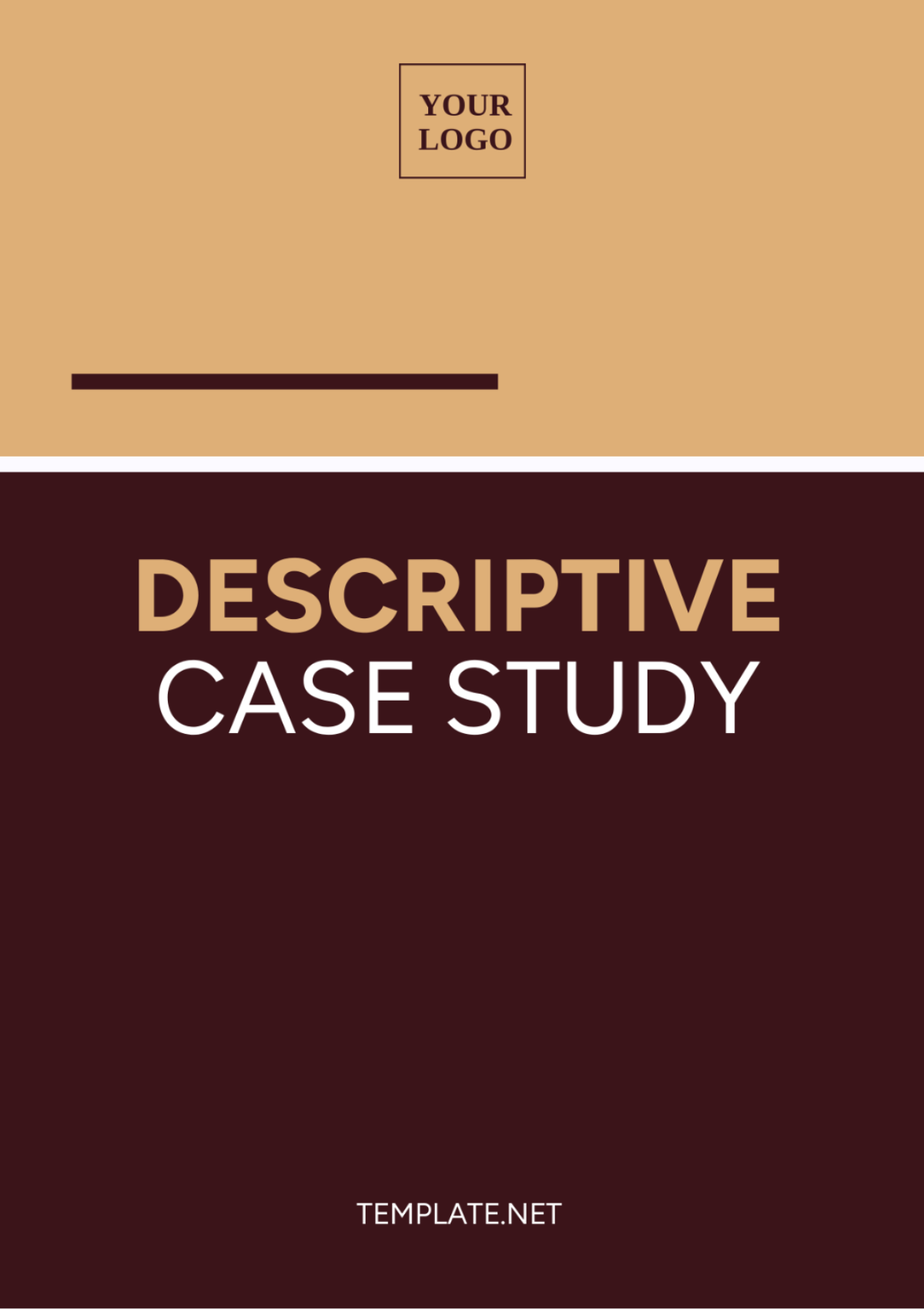 Descriptive Case Study Template