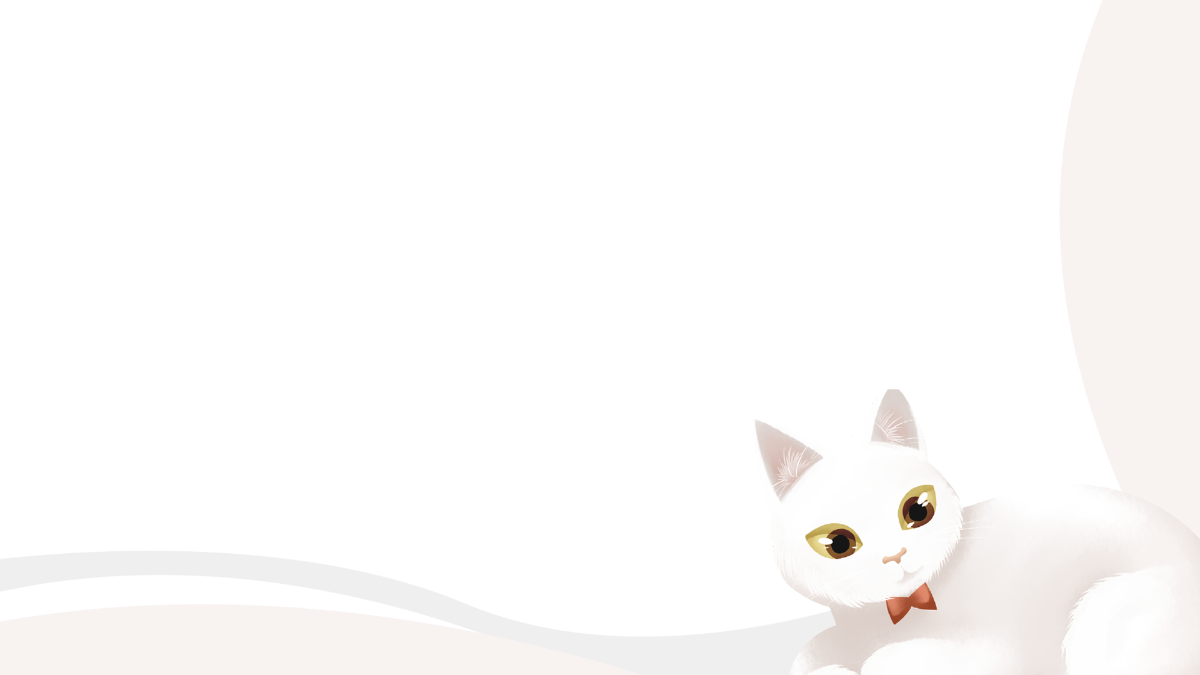 White Cat Transparent Background