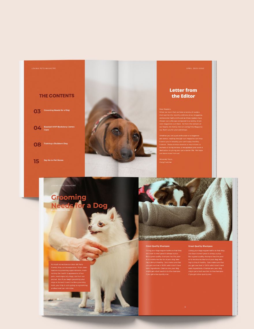 Pet Care Magazine Template