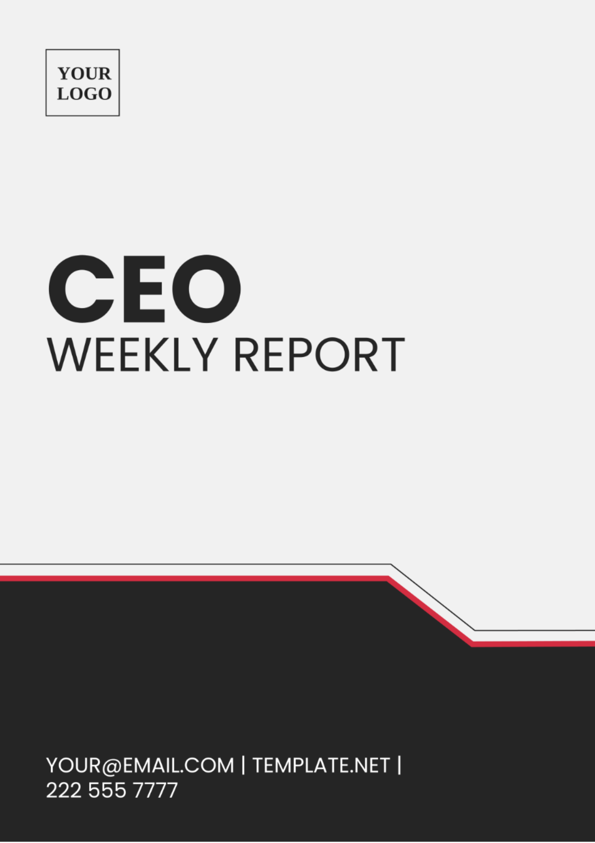 CEO Weekly Report Template