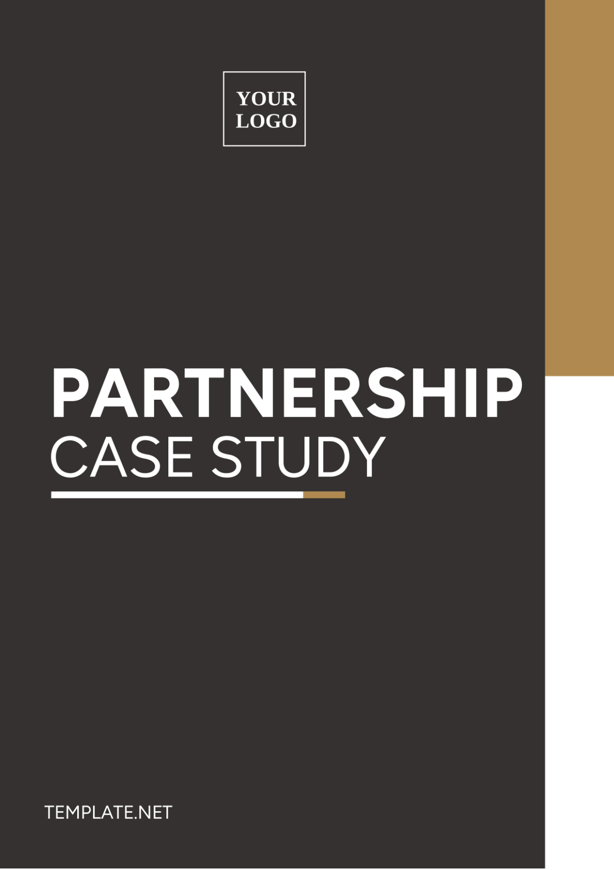 Partnership Case Study Template