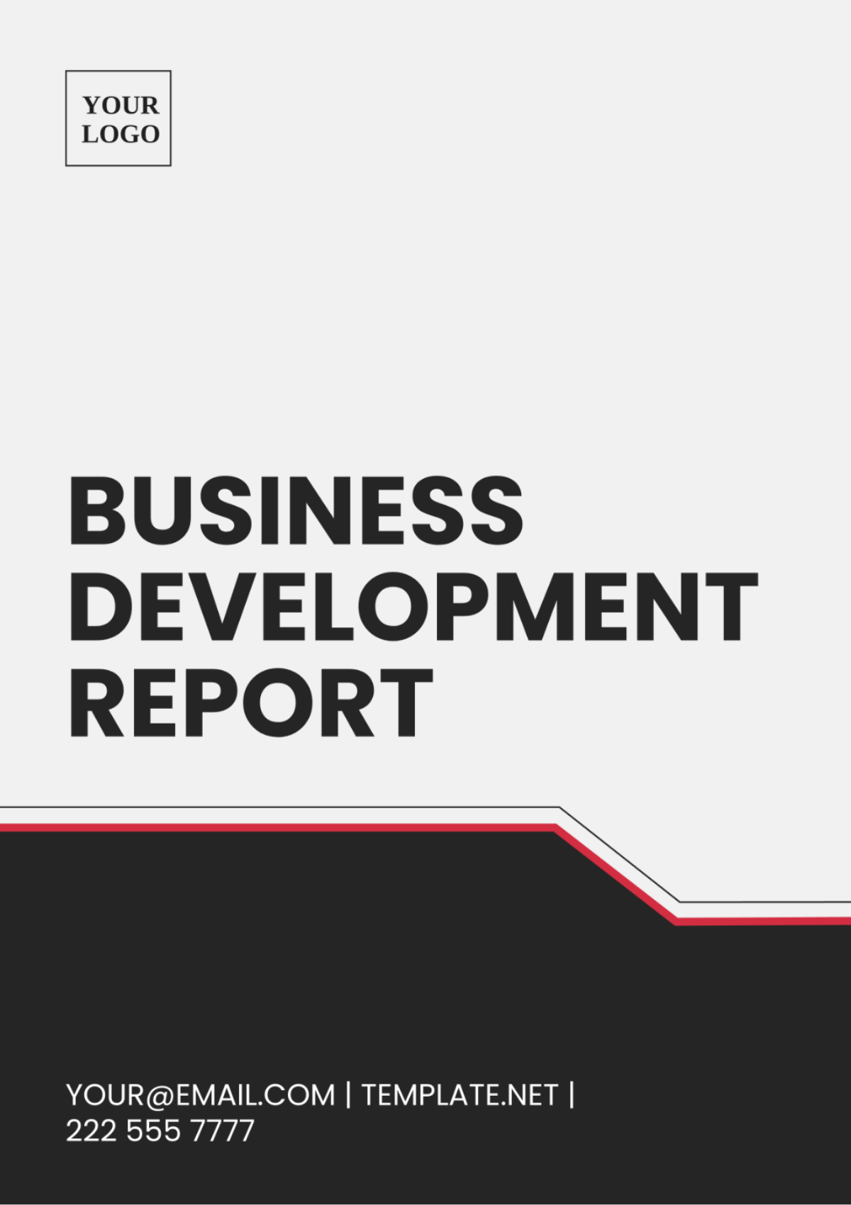 Business Development Report Template