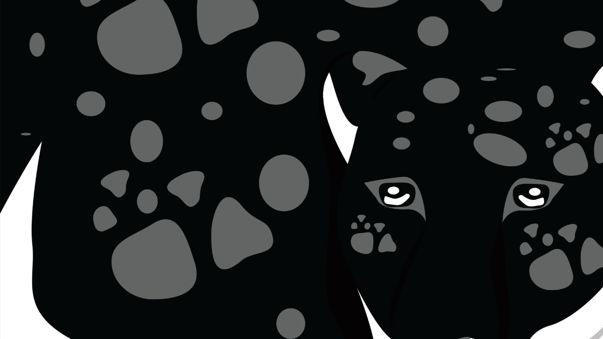 Black and White Leopard Background