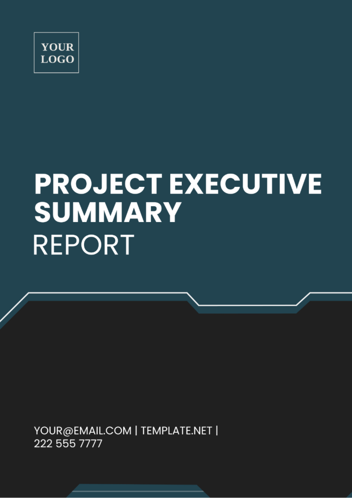 Project Executive Summary Report Template