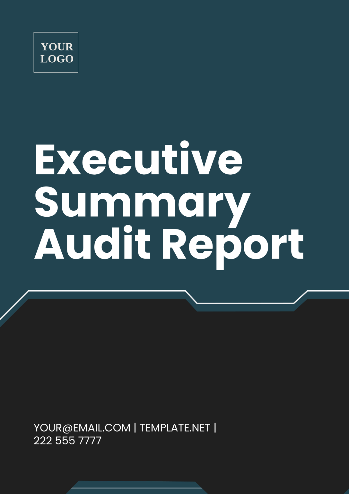 Executive Summary Audit Report Template