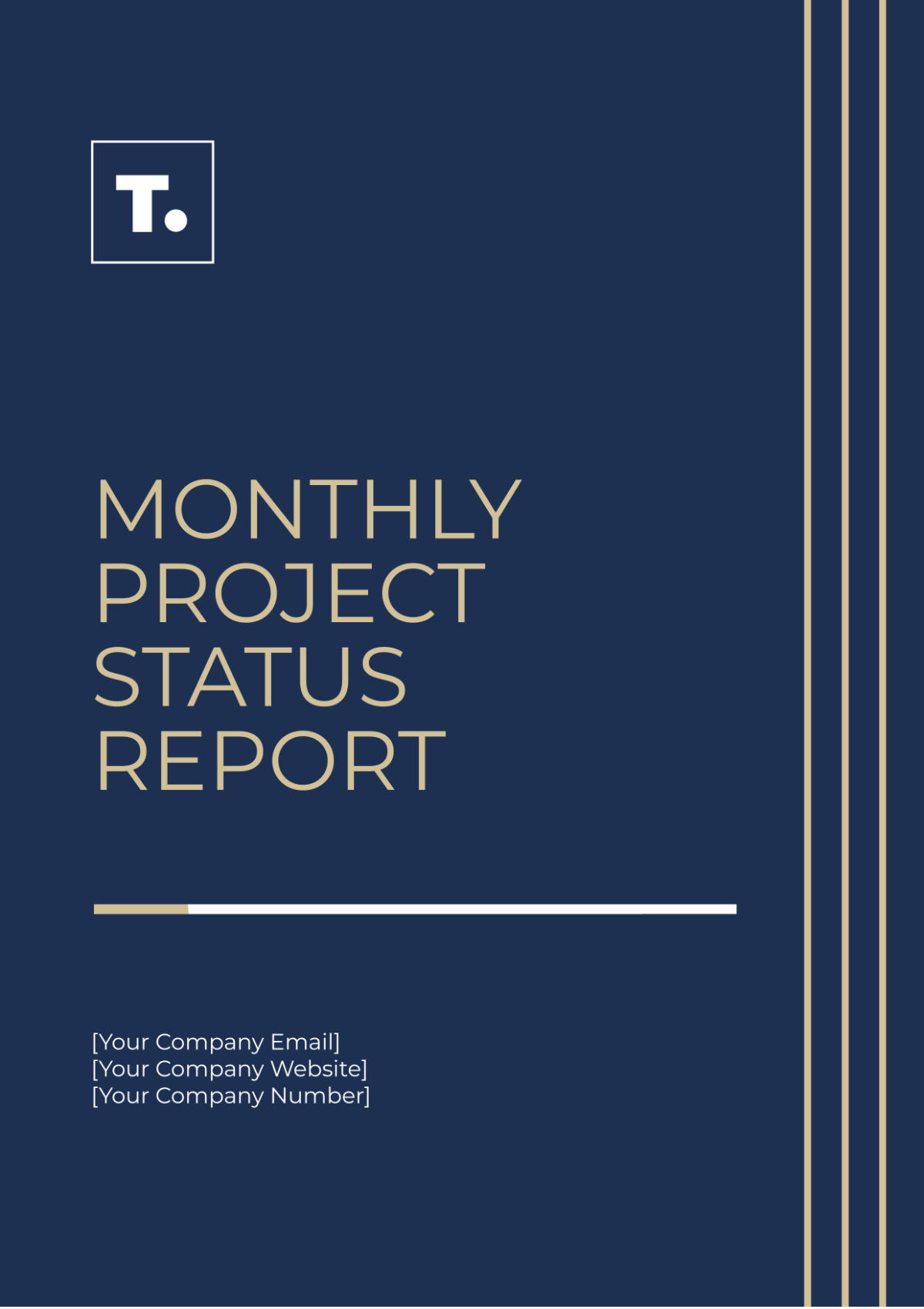 Monthly Project Status Report Template - Edit Online & Download