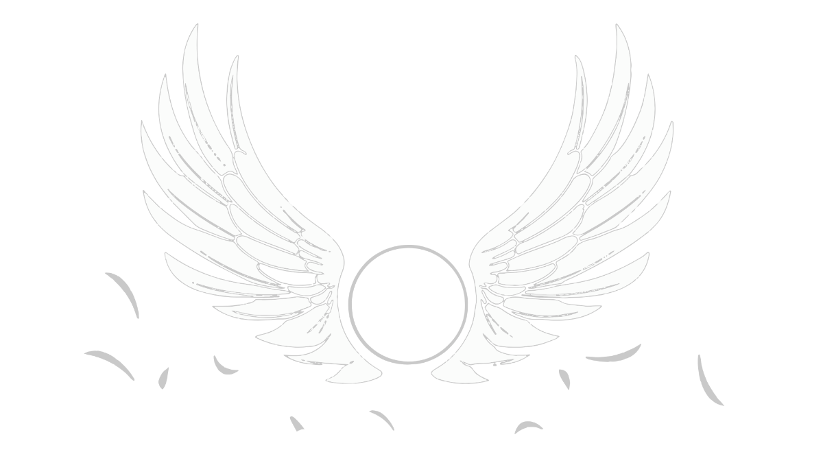 White Angel Wings Background